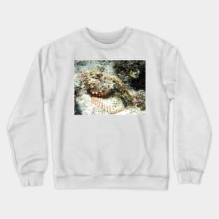 Scorpion Fish in the Sand Crewneck Sweatshirt